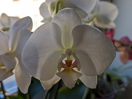 PXL_20220313_122746530.jpg