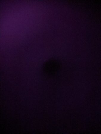 PXL_20220314_014214341.NIGHT.jpg