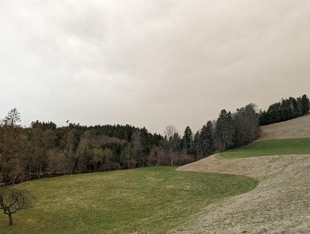 PXL_20220315_142236069.jpg