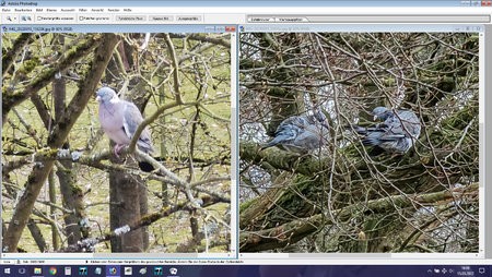 P40pp vs P50p 10X Foto.jpg