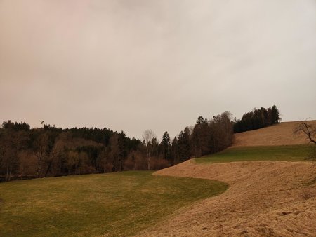 signal-2022-03-15-17-01-04-038.jpg