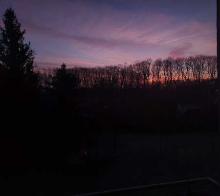 IMG_20220316_063431.jpg