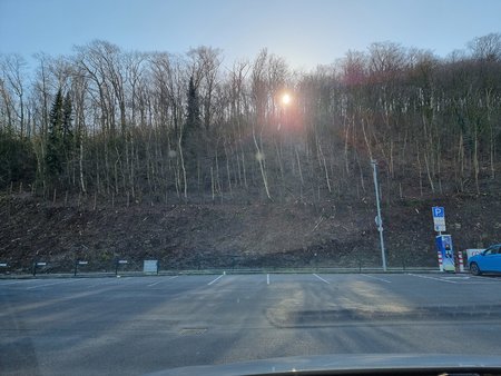 20220318_094032.jpg