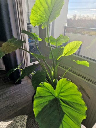 20220318_160835.jpg