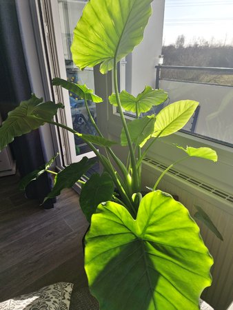 20220318_160841.jpg
