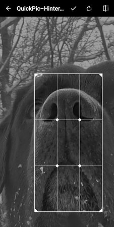Screenshot_20220317-005221_Gallery.jpg
