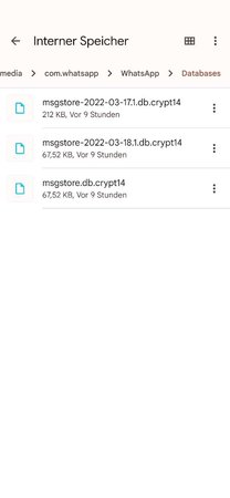 1647632377289.JPEG