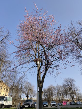 2022-03-19_Auf-dem-Weg-zu-dm-und-Aldi_02.jpg