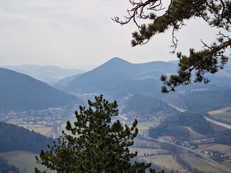 20220319_104322.jpg