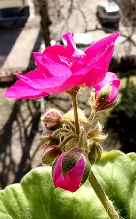 IMG_20220320_125620525_HDR.jpg