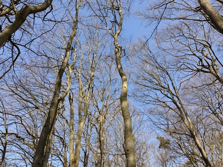 IMG_20220320_102033.jpg