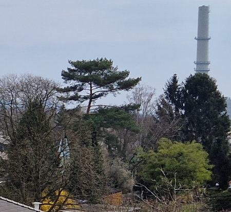 1 crop from 12MP out-of-S22.jpg