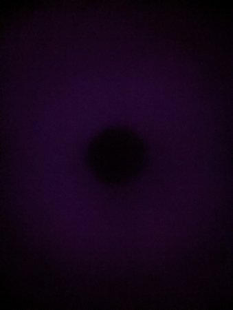 PXL_20220320_170214003.NIGHT.jpg