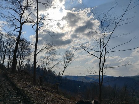 IMG_20220319_142839.jpg