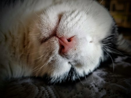 20220321_151232_2.jpg
