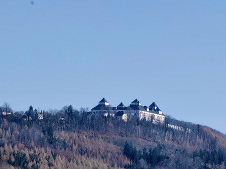 IMG_20220323_150220~2.jpg