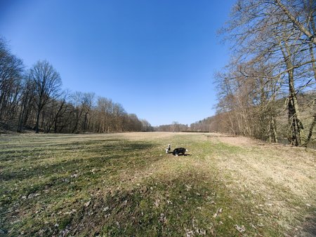 IMG_20220323_140807.jpg