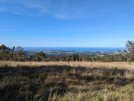 PXL_20220323_161132930.jpg