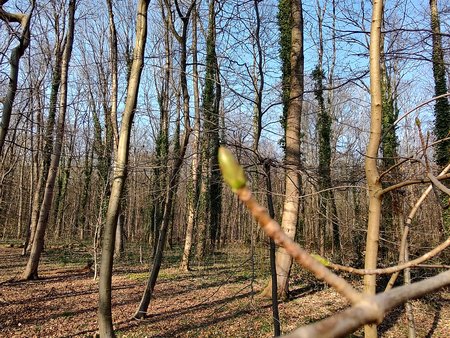 IMG_20220324_160734438_HDR.jpg