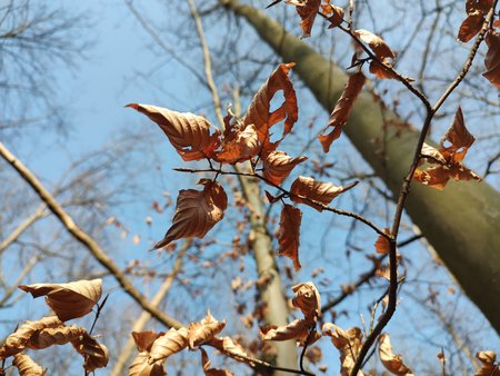 IMG_20220324_155619122.jpg