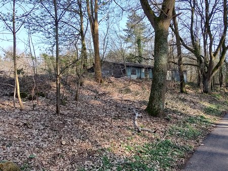 IMG_20220324_153925272_HDR.jpg