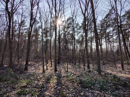 IMG_20220324_153638559_HDR.jpg