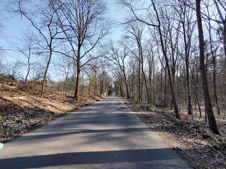 IMG_20220324_153607244_HDR.jpg