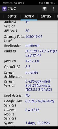 Screenshot_20220326_125623_com.cpuid.cpu_z.jpg
