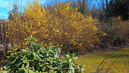 IMG20220326134209.jpg