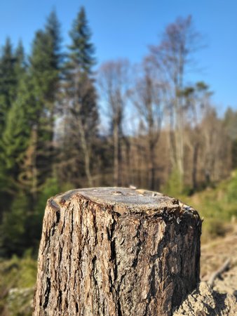 20220324_154250.jpg