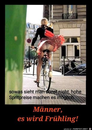 wird_Fruehling.jpg