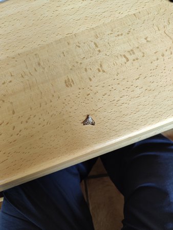 IMG20220327110948.jpg