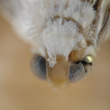 IMG20220327110752.jpg