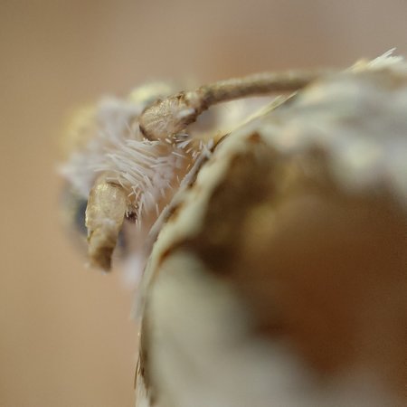 IMG20220327110548.jpg