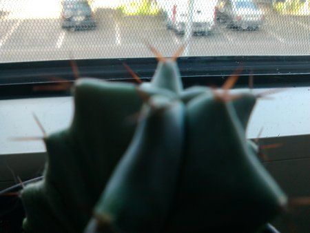 IMG_20100131_081549.jpg