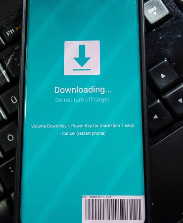 1649153230257.jpg