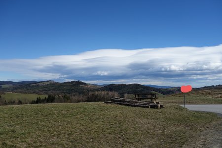 20210205_165117.jpg