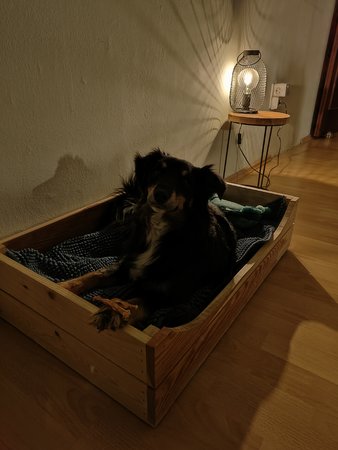 IMG20220405220824.jpg