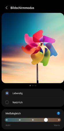 Screenshot_20220406-201617_Settings.jpg