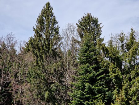 20220407_114517.jpg