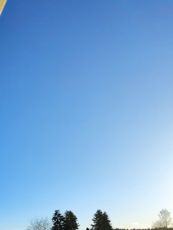 IMG_20220407_185114.jpg
