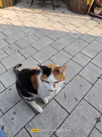 IMG20220325170434.jpg