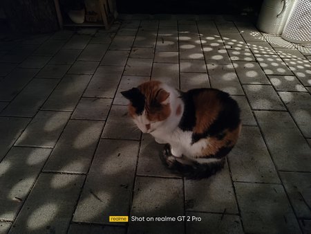 IMG20220325212057.jpg