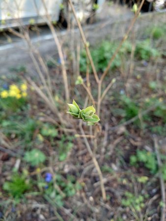 20220319_162747.JPG