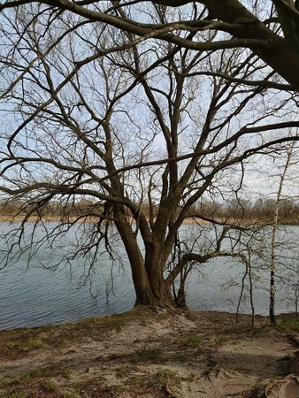 20220401_160853.JPG