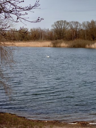 20220401_161447.JPG