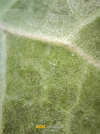 IMG20220326151225.jpg