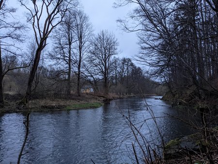 PXL_20220408_174847241.jpg
