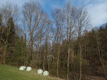 20220408_173016.jpg