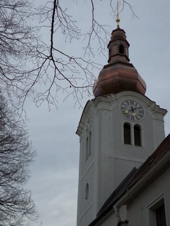 20220409_174048-01-Original.jpeg